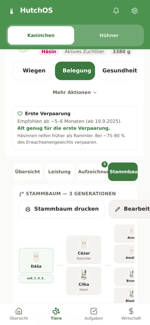 Kaninchen-Ahnentafel über drei Generationen in der App HutchOS